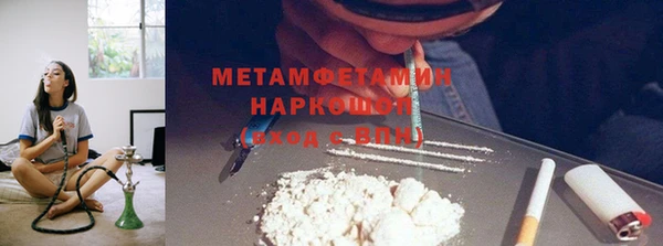 прущие грибы Баксан