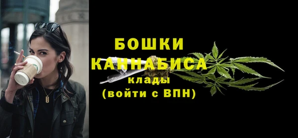 прущие грибы Баксан