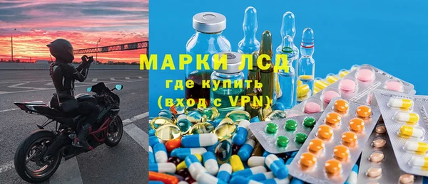 ешки Аркадак