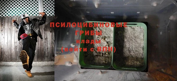 ешки Аркадак