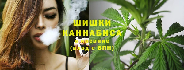прущие грибы Баксан